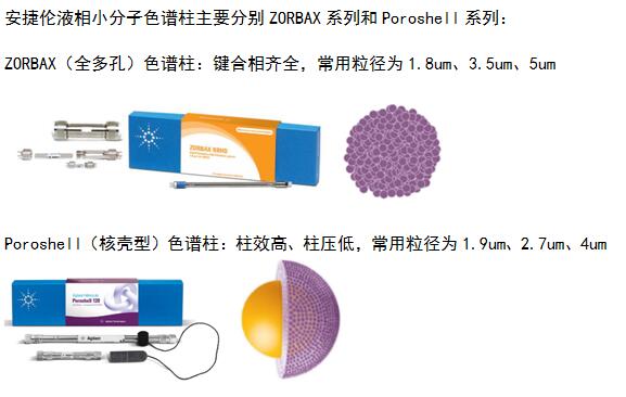 小分子色譜柱0..jpg